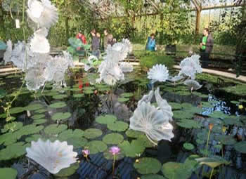 Kew Gardens inside pond